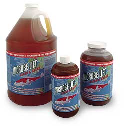 Microbe-Lift Clean & Clear &ndash; это специальная смесь полезных бактерий