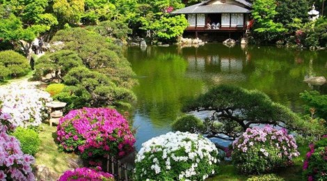 Строительство водоемов, строительство японских садов